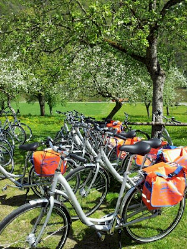 Hybrid touring bike on the Swiss Crown