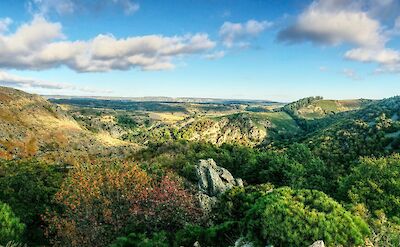 Flourishing hills, Ardèche, France. Unsplash:Mat Laurent