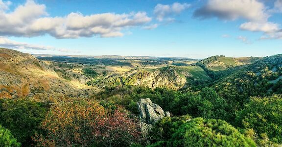 Flourishing hills, Ardèche, France. Unsplash:Mat Laurent