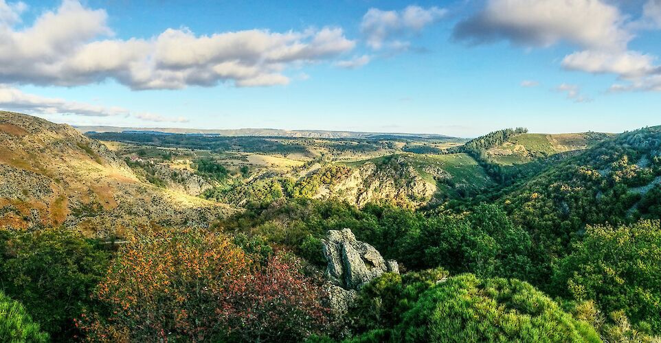 Flourishing hills, Ardèche, France. Unsplash:Mat Laurent