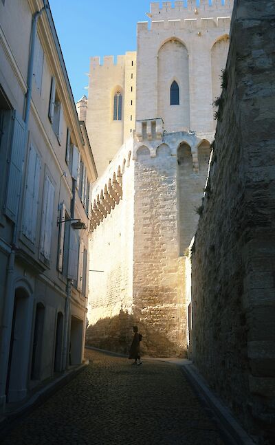 Streets of Avignon, France bike boat tours. Unsplash:Mike Von