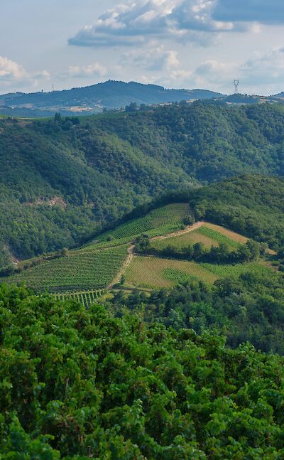 Tournon, France bike boat tours. Unsplash:Elliot Gouy