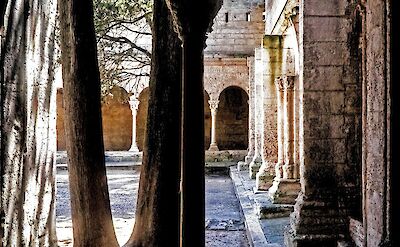 Trees in a courtyard, Arles, France. Unsplash:Clement Souchet