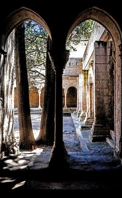 Trees in a courtyard, Arles, France. Unsplash:Clement Souchet