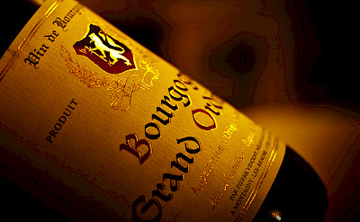 Bourgogne wine - photo by Andreas Kusumahadi