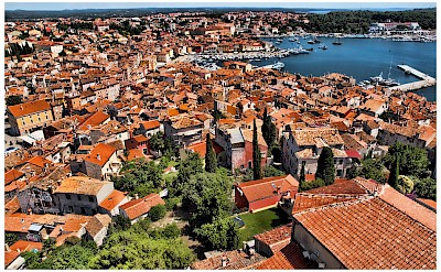 Harbor as seen from Campanile of Saint Euphemia Church in Rovinj, Istria, Croatia. Flickr:Mario Fajt 
