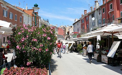 Cycling in Rovinj, Istria, Croatia. Flickr:Riessdo