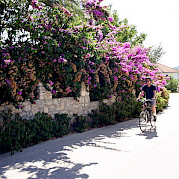 Multi-Adventure Tour from Trogir Photo