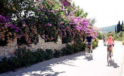 Cycling scenic Southern Dalmatia, Croatia: Photo by Carol Dalton