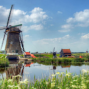 Holland Southern Tulip Tour Photo