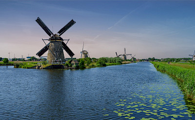 Biking past the windmills at Kinderdijk in the Netherlands. Flickr:Norbert Reimer