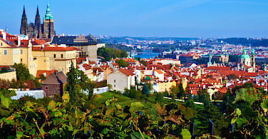 Vineyards and castles in Prague, Czech Republic. Photo via Flickr:Moyan Brenn