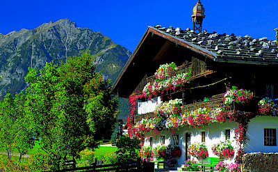 Gorgeous chalets in Styria Province in Austria. Photo via Austrian National Tourist Office