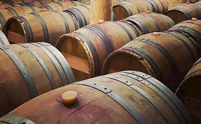 Barrels at Coteaux d'Engraviès. Photo:Aurélia M