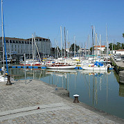 Trizay Foto
