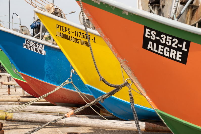 Local Portuguese fishing boats