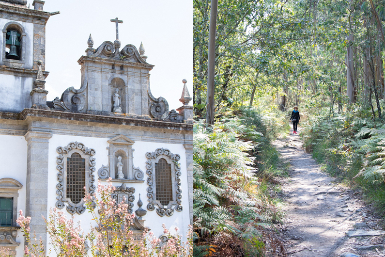 Cathedral and forest trails along the Camino