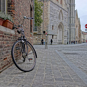 Tulip Tour - Amsterdam to Bruges - 8 day Photo