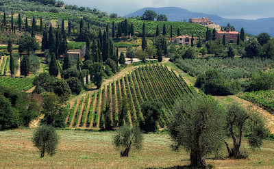 Montalcino wine region near Siena in Tuscany, Italy. Photo via Flickr:Eric Huybrechts