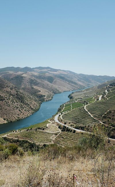 Douro River. Unsplash:Ricardo Resende