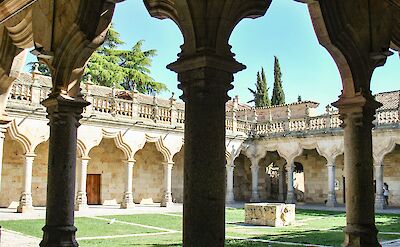 Gardens in Salamanca, Portugal. Unsplash:Mikk Sanch