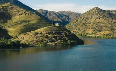 Hills in the Douro Valley. Unsplash:Ricardo Resende