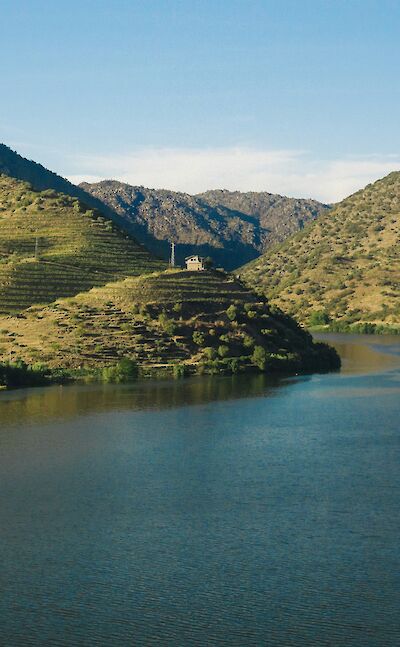 Hills in the Douro Valley. Unsplash:Ricardo Resende