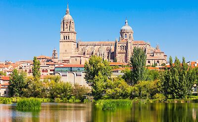 Reflections of trees on the river, Salamanca, Portugal. Unsplash:Getty Images 