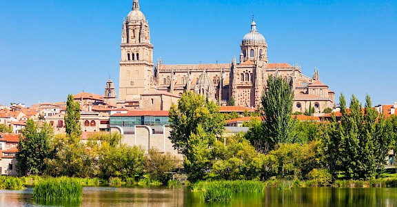 Reflections of trees on the river, Salamanca, Portugal. Unsplash:Getty Images 40.964934, -5.663263