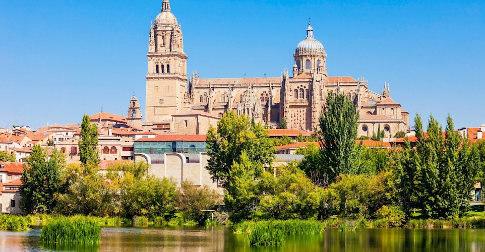 Reflections of trees on the river, Salamanca, Portugal. Unsplash:Getty Images 