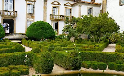 Topiary, Mateus Palace, Portugal. Unsplash:Steve Sharp