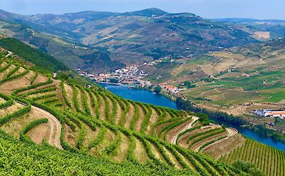 Vineyards around the Douro River. Unsplash:Roland Wood