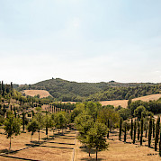 Tuscany Road Bike Tour Photo