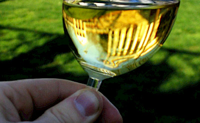 Glass of Italian Chardonnay. CC:myhobosoul