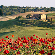 Tour en bicicleta de carretera por Toscana Foto