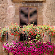 Tuscany - Florence, Siena, and the Chianti Photo