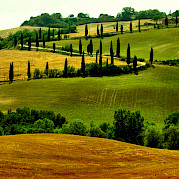 Toscana - Florencia, Siena y Chianti Foto
