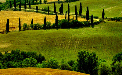 Tuscany's many rolling hills. Photo via Flickr:Giampoalo Macorig