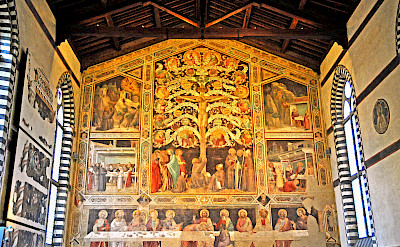 Frescoes in Santa Croce Franciscan Monastery, Florence, Italy. Flickr:Dennis Jarvis