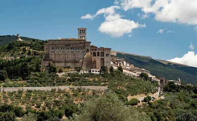 The Basilica of Saint Francis of Assisi surrounded by olive groves, Umbria. Unsplash@Flora Orosz