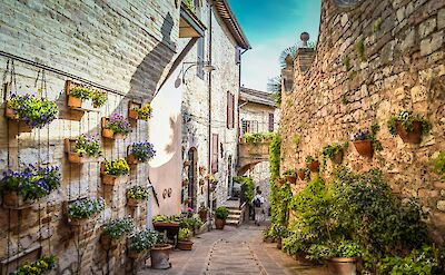 Beautiful plants lining a street in Spello, Italy. Unsplash@Alessandro de Marco