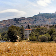 Umbria Road Bike Tour - Gorgeous landscape of Assisi in Umbria, Italy. CC:Gunnar Bach Pedersen
