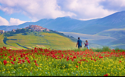 Umbria's green landscape near Assisi, Italy. Flickr:Moyan Brenn