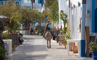 Donkey rider in the Cyclades, Greece. Flickr: Stéphane JEGADEN