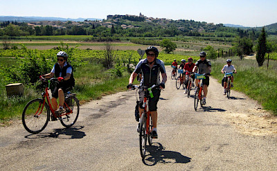 Biking the Provence - Wilderness of Camargue Bike Tour in France. ©Photo via TO