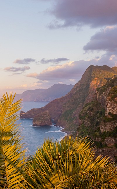 Madeira Islands, Portugal. Unsplash:Julia Solonina