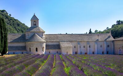 Lavender fields in Gordes, France bike tours. Unsplash@Bo Zhang