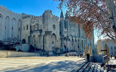 Shadows of trees in Avignon, France bike tour. Unsplash@Elly Ch