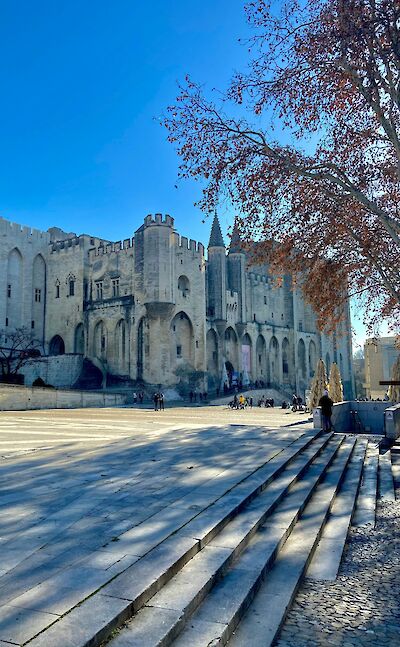 Shadows of trees in Avignon, France bike tour. Unsplash@Elly Ch