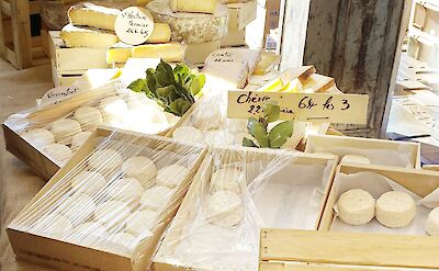 Window display of French cheeses. France bike tour. Unsplash@Margit Knobloch